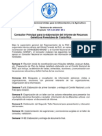 Consultor Principal Para La Elaboracin Del Informe de Recursos Genticos Forestales de Costa Rica