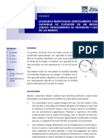 Pat Levaduras PDF