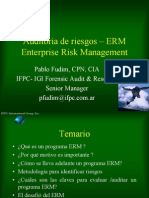 Gestion de Auditoria de Riesgos en La Empresa- ERM Enterprise Risk Management