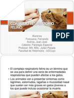 Complejo Respiratorio Felino