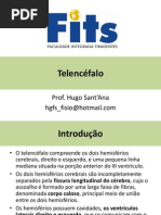 Telencéfalo_01.pdf
