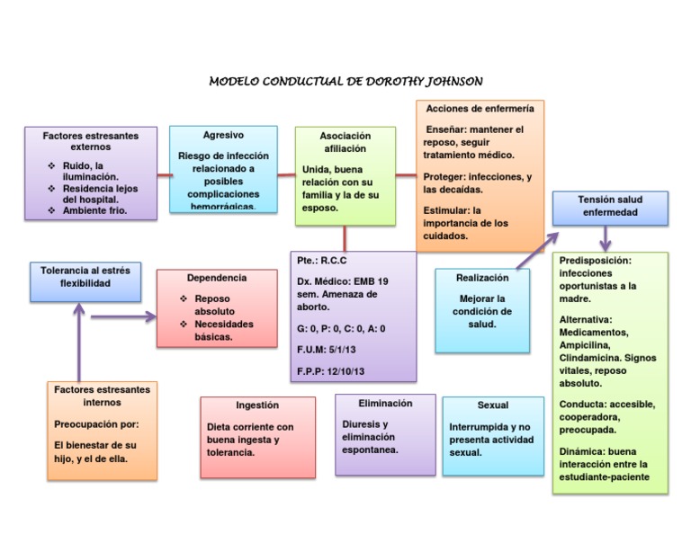 Modelo Conductual de Dorothy Johnson PDF