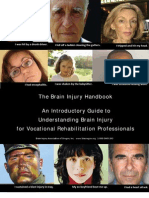 Introductory Brain Injury Handbook For V/R. Professionals