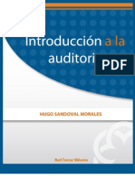 Introducciona La Auditoria