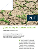 Qué es hoy la sustentabilidad