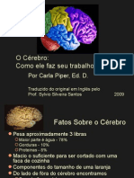 Mapeamento Do Cérebro Segundo A Tecnologia PET e As Emoções