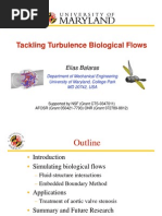 Tackling Turbulence Biological Flows: Elias Balaras