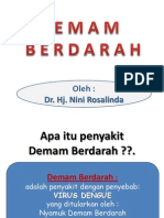 Penyuluhan Demam Berdarah