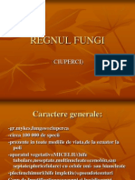 Regnul Fungi c