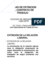 Causas de Extinción del Contrato de Trabajo - Cecilia Espinoza Montoya