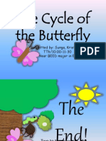 Life Cycle of The Butterfly