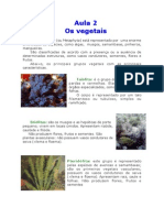 Biologia - Aula 02 - Resumo de Biologia Sobre Os Vegetais