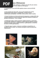 Introdução ao estudo do Filo Mollusca