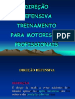 TREINAMENTO - DIRECAO-DEFENSIVA