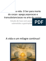 Apresentacao Ufpa