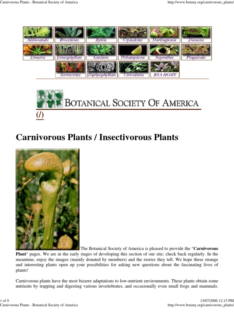 Carnivorous Plants - Botanical Society of America | PDF