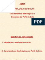 Morfologia Do Solo