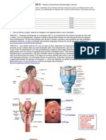 Atividade-01-Respiratorio-Visceral.pdf