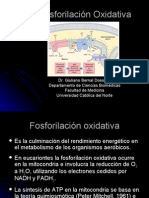 Procesos Bioloicos - 16 - Fosforilación oxidativa.29.05.09