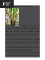 Download Kliping Wereng Coklat Padi by kacongmarcuet SN159240994 doc pdf