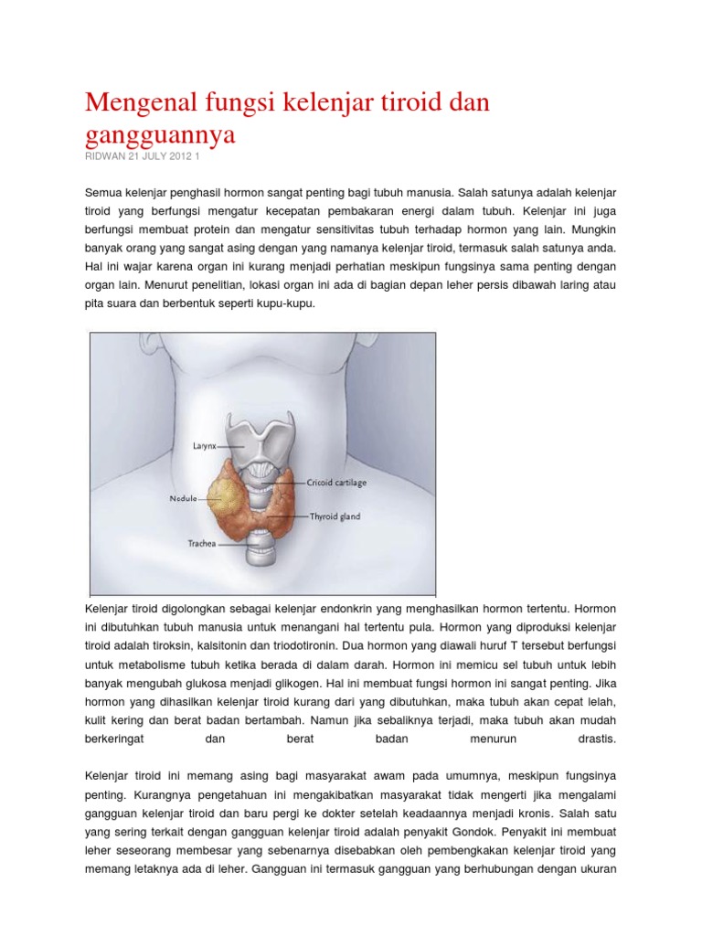 Mengenal Fungsi Kelenjar Tiroid  Dan Gangguannya