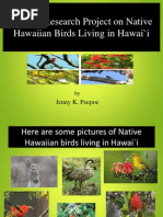 jennykpoepoe powerpoint ppt