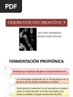 Download FERMENTACIN PROPIONICA by Wendy Zumba Alvarado SN159283288 doc pdf