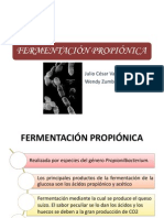 Download FERMENTACIN PROPIONICA by Wendy Zumba Alvarado SN159283288 doc pdf