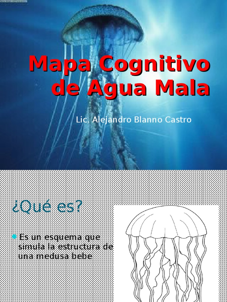 Mapa Cognitivo de Agua Mala