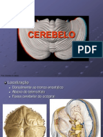 Anatomofisiologia Do Cerebelo
