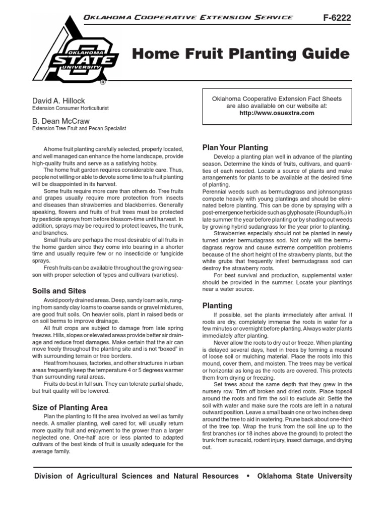 Fruit - Home Fruit Planting Guide | PDF | Cherry | Apple