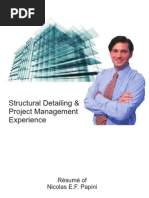 Download Rsum Senior Structural Steel Detailer - Nicolas Papini  by nicolaspapini SN15935768 doc pdf