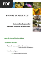 biomasdobrasil-101102184149-phpapp02