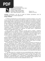 Comentário - Responsabilidade Social