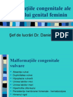 Malformatiile AP. Genital