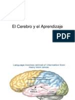 3 El Cerebro y El Aprendizaje