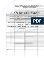 Plan de Cuidados de Servicio de Medicina Interna_Salma Maldonado-1