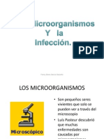 Los microorganismos y la infecci¢n