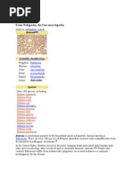 Download Babesia by SUTHAN SN15946674 doc pdf