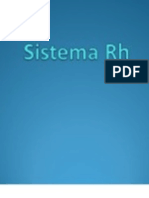 Sistema RH 2011