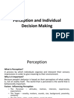 Perception and Individual Decision Making