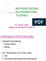 Jaringan Penyokong