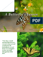 A Butterfly's Lesson
