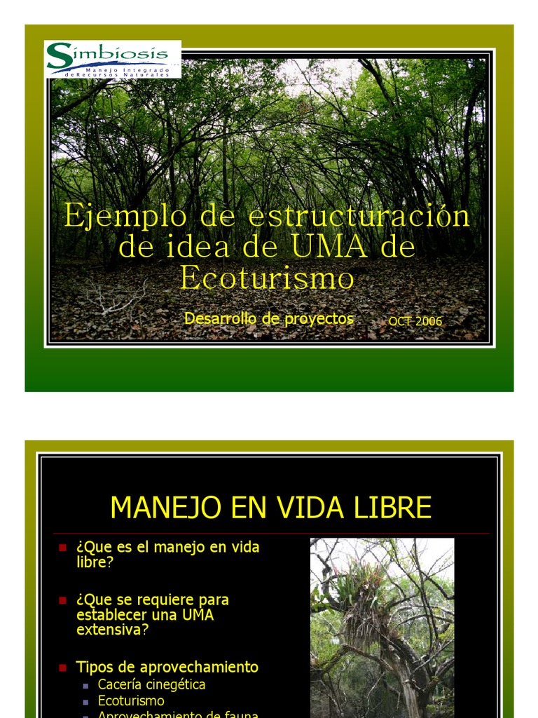 Ejemplo Proyecto UMA Ecoturismo | PDF | Turismo | Economias