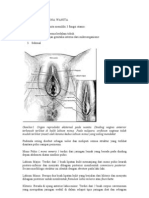 Genitalia Eksterna Wanita