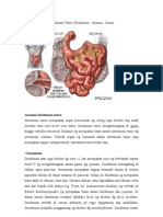 Anatomi Fisiologi Intestinum Tenue