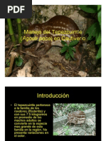 Download Manejo de Tepezcuintle Basico by SIMBIOSIS MIRN SA de CV SN15951765 doc pdf