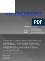 Microcuerpos Dise