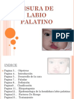 Labio Palatino PDF