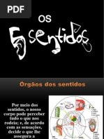 Trabalho de Metodologia Do Ensino de Ciencias